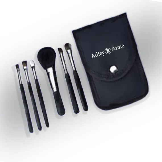 6 Piece Brush Set with Black Case, Matte Black Handles