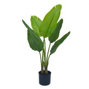 Heleconia 120 cm