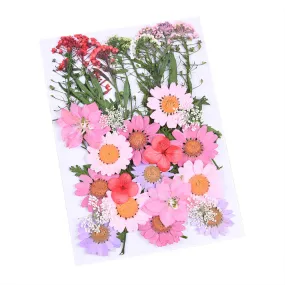 Small Natural Dried Pressed Flowers for Resin Glitter